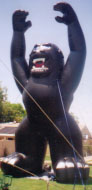 25ft. Black Kong inflatable
