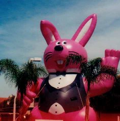 Bunny advertising inflatables for rent and sale.