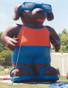 Cool Dog 25' inflatable