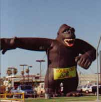 Rent giant Kong inflatables and gorilla advertising balloons here! 40ft. giant gorilla inflatable.